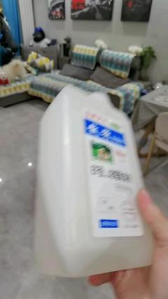 寵物除臭劑的選購指南與使用技巧